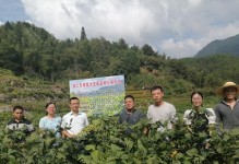 大豆种植的高产技术与管理方法（打造高效的大豆种植园）