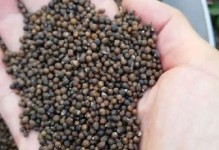 黄荆耐寒能力详解（从多少度开始耐寒到多少度结束？15个问题解答黄荆耐寒问题！）