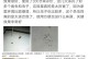 花木虫害防治大全（如何有效预防和治理花木虫害）