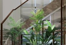 楼梯装饰，怎样选择适合的植物？（如何将楼梯变成绿色的天堂？）