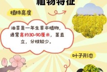 油菜花的花序类型及特点（总状花序的组成与功能）