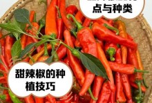 红甜椒生吃好不好？