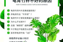 散尾竹叶子发黄的原因及修剪技巧（散尾竹叶子发黄的养护方法与技巧，让你的散尾竹重焕青翠）