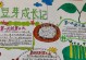 绿豆生长的生态环境与特点（从土壤、气候到生长周期，探究绿豆生长的关键因素）