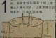 生姜的种植与生长过程（了解姜的生长奥秘，收获丰盈姜作经验）
