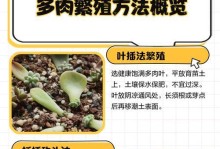 七宝树锦的繁殖技巧（掌握关键步骤，让七宝树锦茁壮成长）