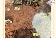 如何成功培养以太阳花种子（以太阳花种子培养步骤及关键要点）