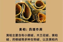 保护国宝——黄柏（黄柏的重要性和保护措施）