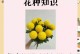 夏季乒乓球菊养护指南（打造美丽花坛，享受夏日花海）