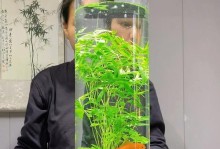 冬季水竹子养护之法（保持湿润、避免寒冷，打造健康水竹子）