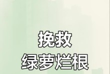 冬天绿萝烂根补救方法（怎样修复冬天绿萝烂根的最佳措施）