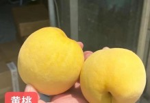 黄桃的生长过程及成熟季节（春季开花，夏季挂果，秋季成熟，黄桃的生长全过程）