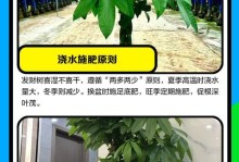 小盆发财树维护指南（打造繁盛和幸福的家居装饰品）