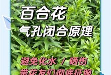百合叶子全黏黏，揭秘其背后的奥秘（探索百合叶子黏黏的成因及可能的应用领域）