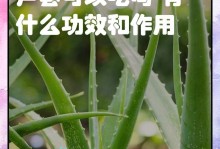 芦荟叶子干瘪的原因及解决方法（探究芦荟养护中叶子干瘪的问题与解决方案）