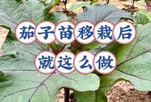 阿司匹林与浇芦荟的搭配使用（药物相互作用的注意事项及功效效果）