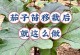阿司匹林与浇芦荟的搭配使用（药物相互作用的注意事项及功效效果）