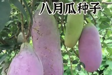 八月炸籽的营养价值及食用方法（探究八月炸籽的健康益处，让你品尝出自然的美味）