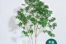 吊钟树的养殖方法（打造别样的绿色家园，吊钟树的生长全攻略）