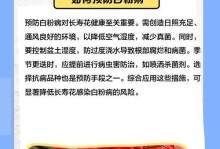花叶表面白斑问题的解决方法（怎样去除花叶表面的白色斑点及保持健康生长）