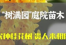 桂枝树与桂花树的区别（从外观、香气、用途等方面来看）