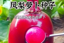 揭秘菠萝种子的来历（从自然到人工，探究菠萝种子的起源和繁殖方式）