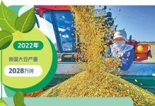 河南大豆的播种时间及关键点（掌握正确时间，顺利种植大豆）