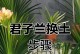 探秘君子兰土的奥秘（了解君子兰土的特性和培养方法）