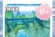 家里养水芙蓉的好处（如何利用水芙蓉提升家庭风水）