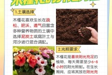 以格桑花种怎么播种——打造美丽的高原花海（探索格桑花播种技巧，让高原绽放绚烂色彩）