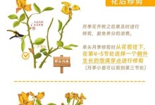 月季花长树不开花的原因及解决办法（解析月季花长树不开花的可能原因，为您提供有效的解决方法）