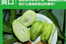 青芒果的最佳保存方法（让青芒果保持新鲜的小技巧）