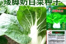 矮脚白菜的最佳播种时间（如何选择最佳的播种时间来提高产量和品质）