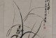 如何有效处理兰花叶子上的黄斑问题（兰花叶子黄斑状况、黄斑成因及处理方法）