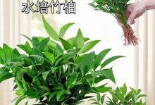 水竹肥料使用指南（科学施肥，让水竹茁壮成长）