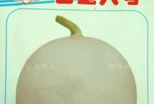 如何正确种植香瓜？（种植时间和方法全掌握）