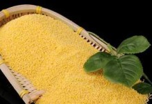 探秘栗米的健康功效与食用方法（了解栗米的多种营养成分，品尝美味又健康的栗米料理）