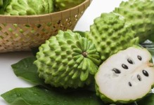 释迦果2的成熟时间与产量（探究环境、品种和管理对成熟时间和产量的影响）