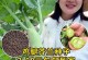 芥蓝的营养和生吃方法（芥蓝的营养成分和生吃的好处）