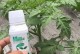 番茄肥料选择与施用方法（番茄种植中的必备知识——选对肥料，科学施用）