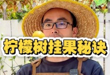 柠檬挂果期施肥技巧（优化柠檬产量的关键——适时施肥）