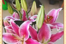 秋季花卉的护理技巧（秋季花卉怎样养护，让花园更美丽）