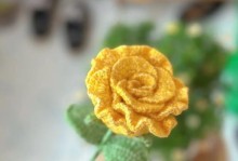 黄玫瑰的养殖技巧（打造黄玫瑰花园的秘籍）