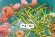 牡丹叶子发蔫的原因及治疗方法（如何防止牡丹叶子发蔫？-牡丹叶子护理技巧）