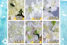 百合瓣繁殖方法及技巧（掌握百合瓣的繁殖技术，让花园更加绚丽多彩）