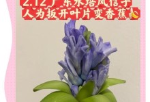 风信子腐烂的处理方法（有效预防与治理风信子腐烂的关键措施）