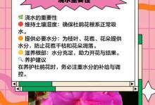 迎春花浇水过多的护理技巧（解决迎春花掉叶问题的方法及注意事项）