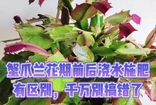 如何正确浇水以促进蟹爪兰的生长（嫁接蟹爪兰的水分需求及浇水技巧）