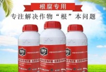 洋葱病虫害的综合防治技术（以生物防治为主的洋葱病虫害综合防治技术）