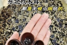 木耳的生长环境条件和特点（以光、温、湿度为关键因素）